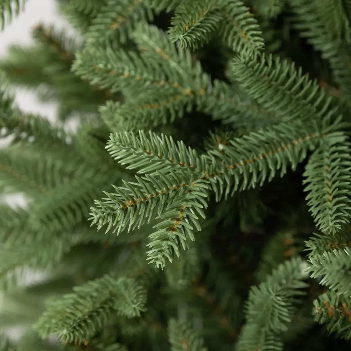 Aspen Artificial Christmas Tree Unlit 6ft 6 Inches (1.9m) Box Opened