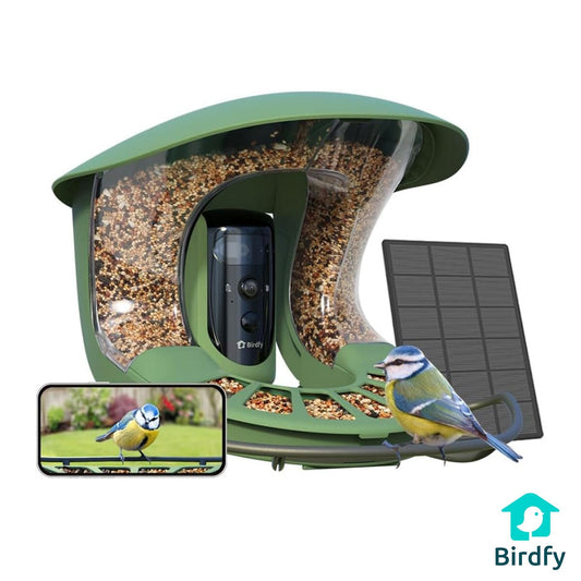 Birdfy Feeder 2 Pro Dual Camera Solar Smart Bird Feeder AI Species ID Green