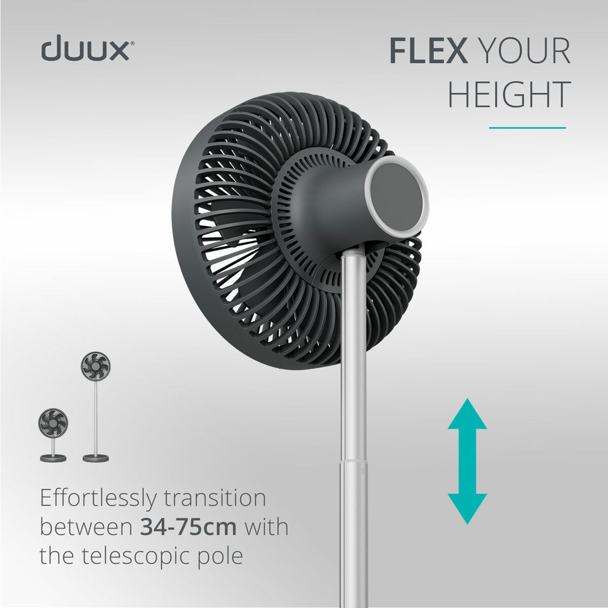 Duux Rize Pedestal Fan DXCF90UK 4 Speed Oscillating Floor Table Charcoal