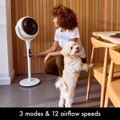 AirCraft LUME 2-in-1 Air Circulator Desk Pedestal Fan Remote LED White 26W