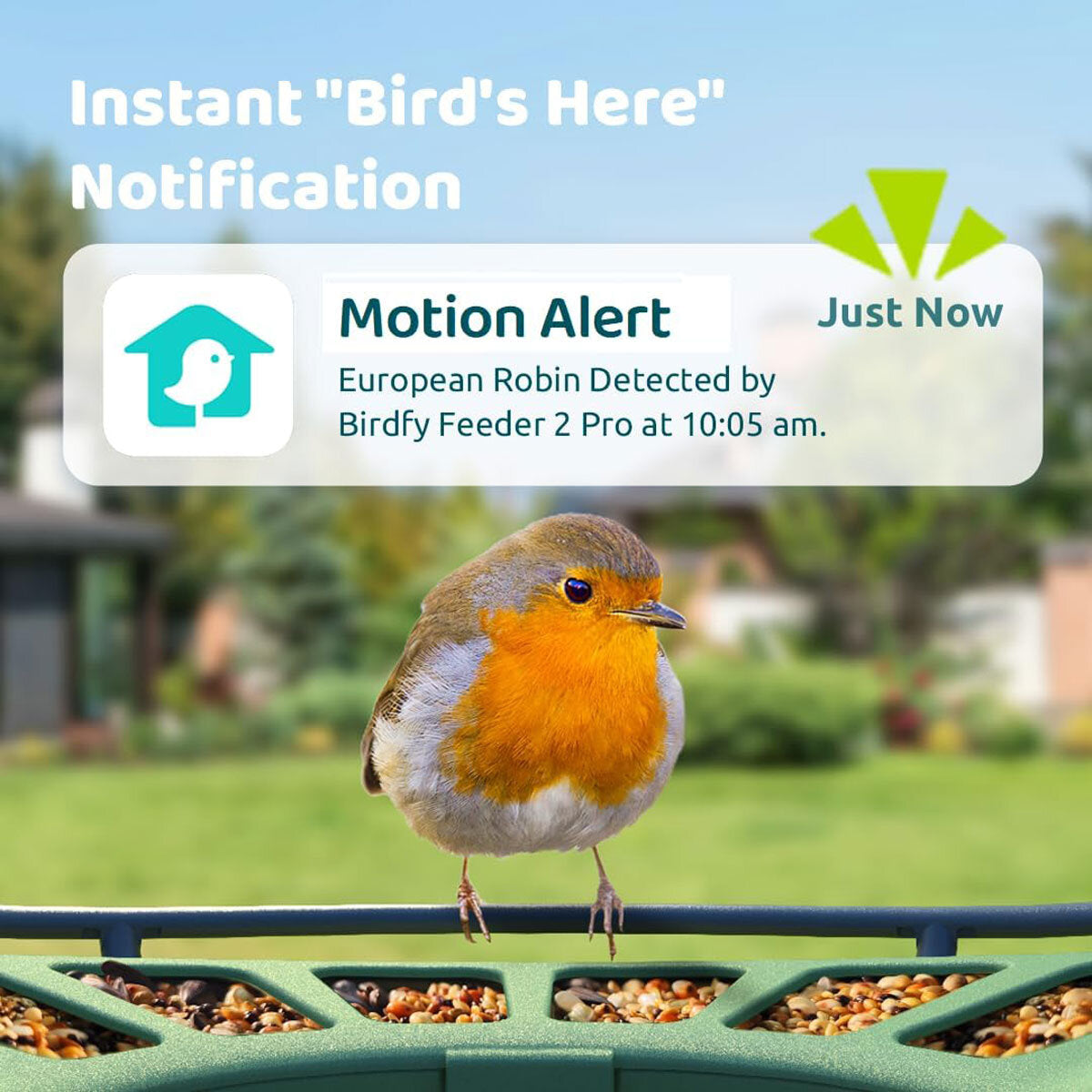 Birdfy Feeder 2 Pro Dual Camera Solar Smart Bird Feeder AI Species ID Green