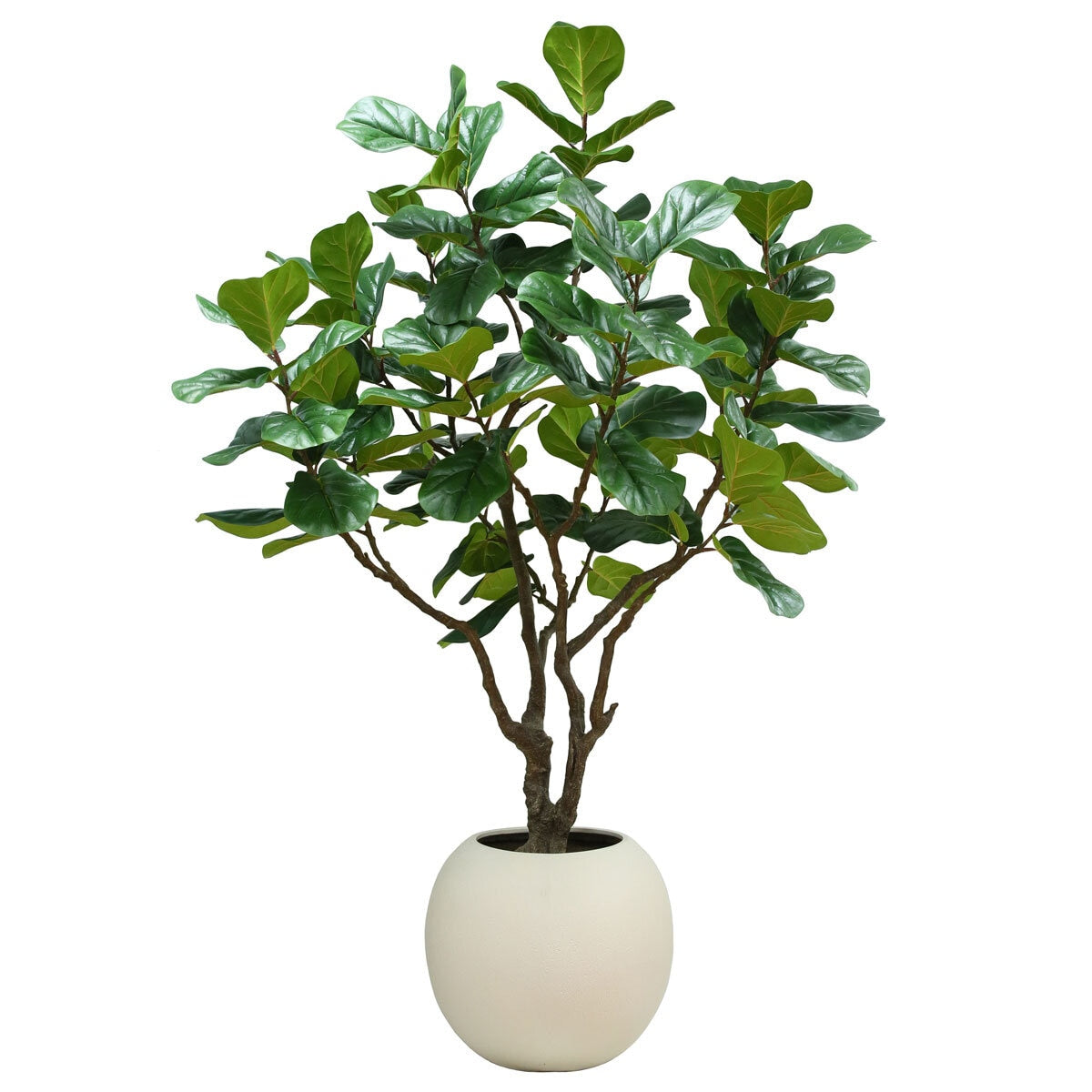 CGH Artificial Faux Fig Tree 8ft Indoor Plant Green Spherical Planter 240cm