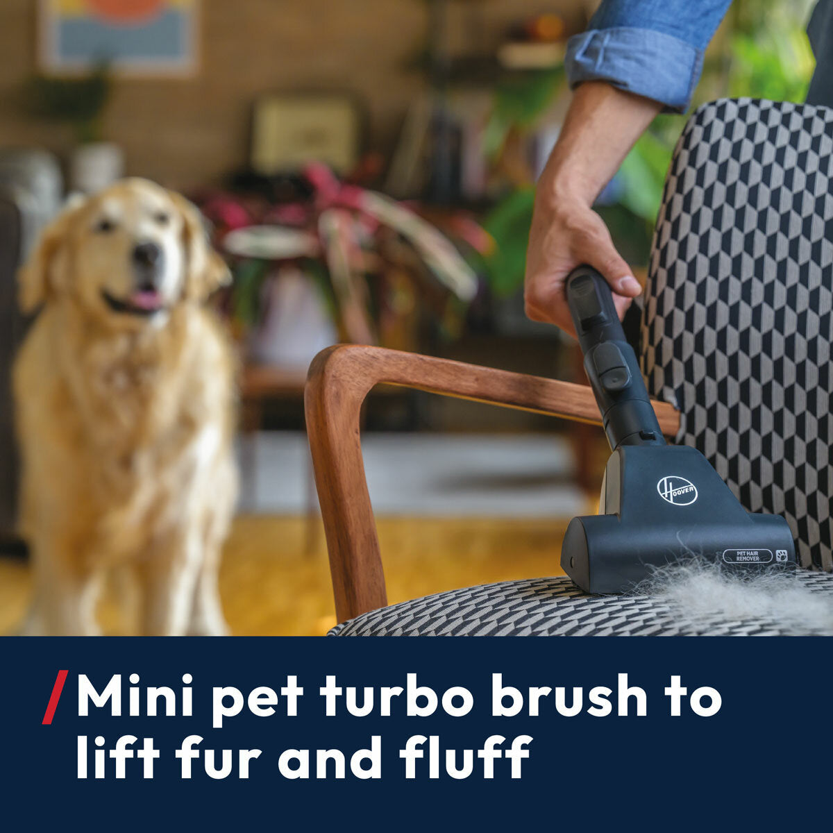 Hoover H-Energy 500 HE520PET Bagged Cylinder Vacuum Cleaner Pet Hair 700W