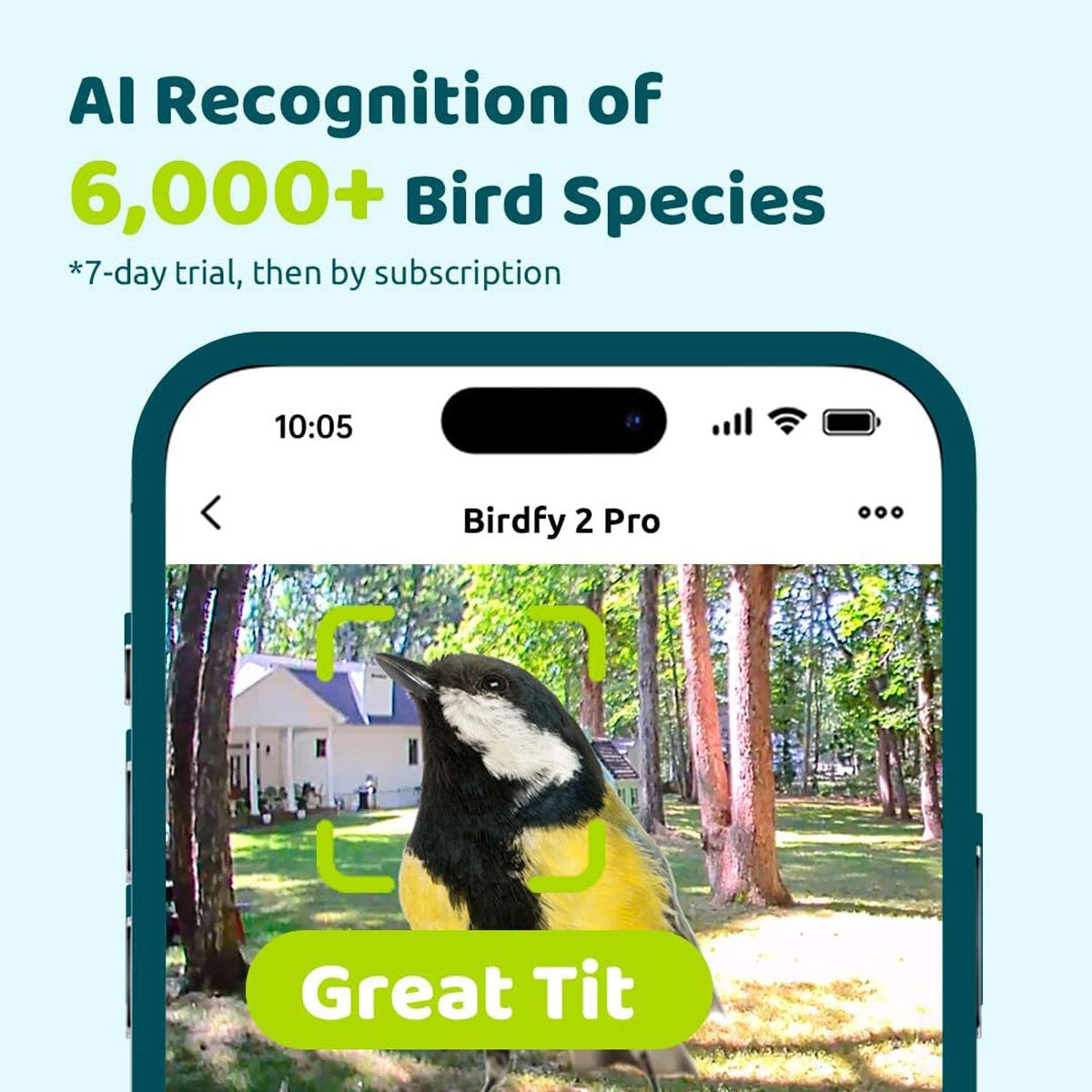 Birdfy Feeder 2 Pro Dual Camera Solar Smart Bird Feeder AI Species ID Green