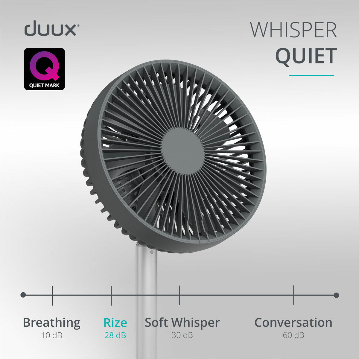 Duux Rize Pedestal Fan DXCF90UK 4 Speed Oscillating Floor Table Charcoal