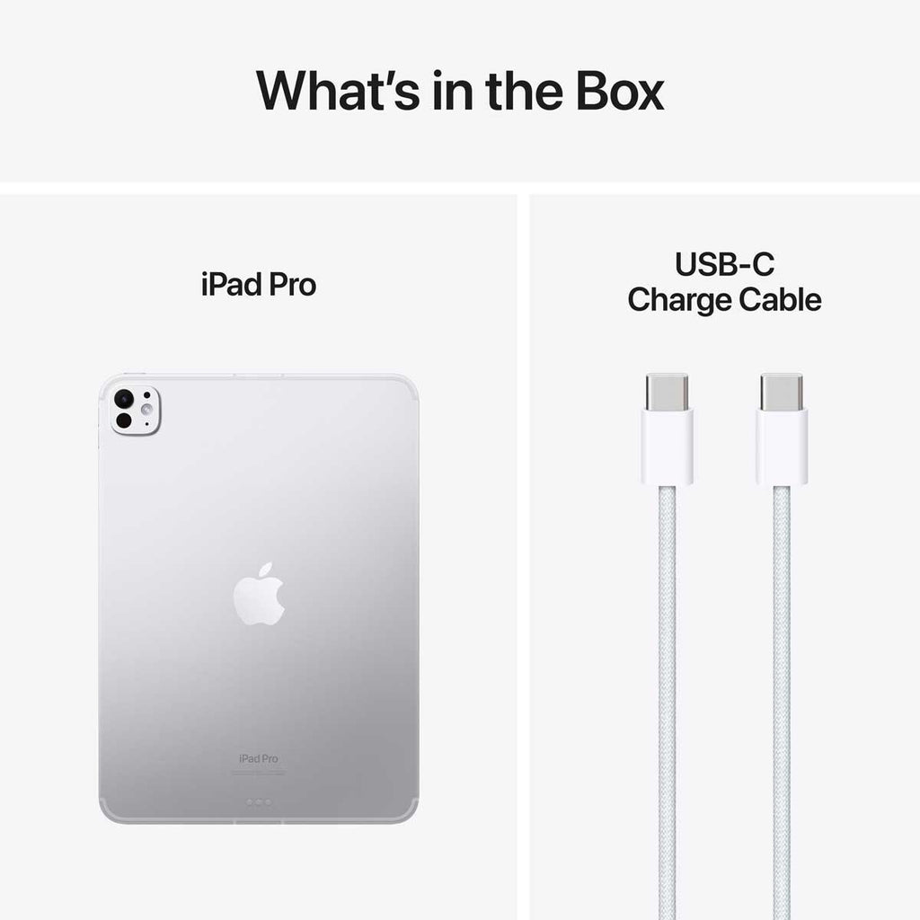 Apple iPad Pro 11" M4 1TB Silver Cellular WiFi 6E Nano Texture Glass VAT / NEW