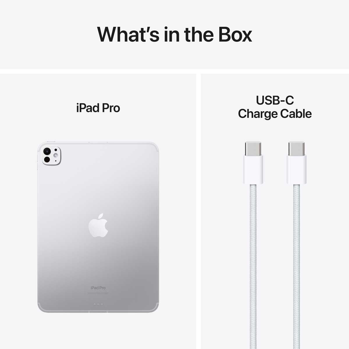 Apple iPad Pro 11" M4 1TB Silver Cellular WiFi 6E Nano Texture Glass VAT / NEW