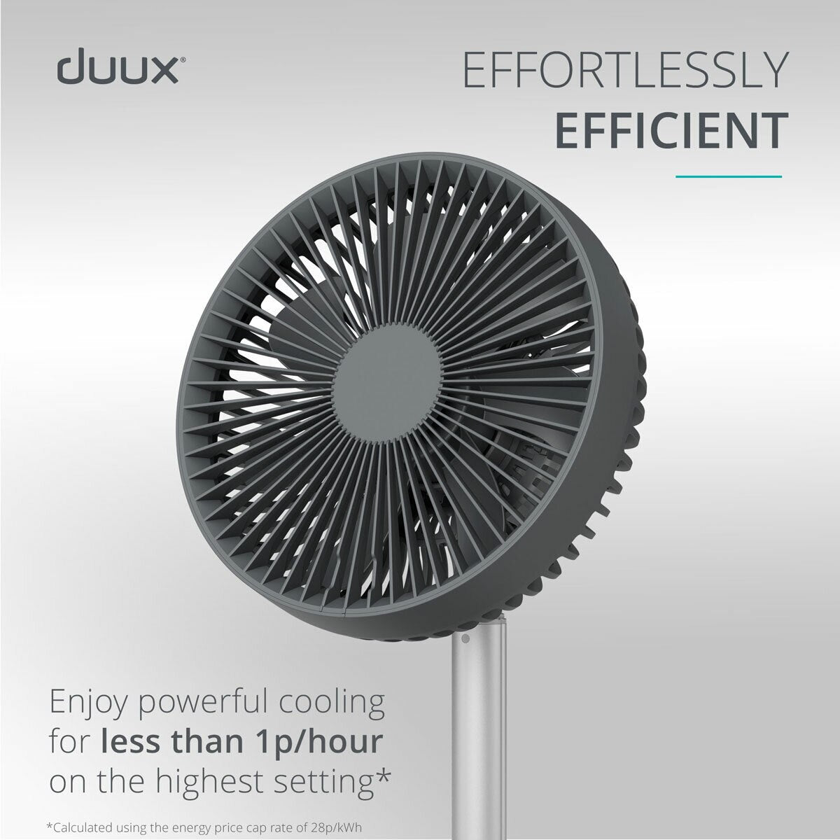 Duux Rize Pedestal Fan DXCF90UK 4 Speed Oscillating Floor Table Charcoal