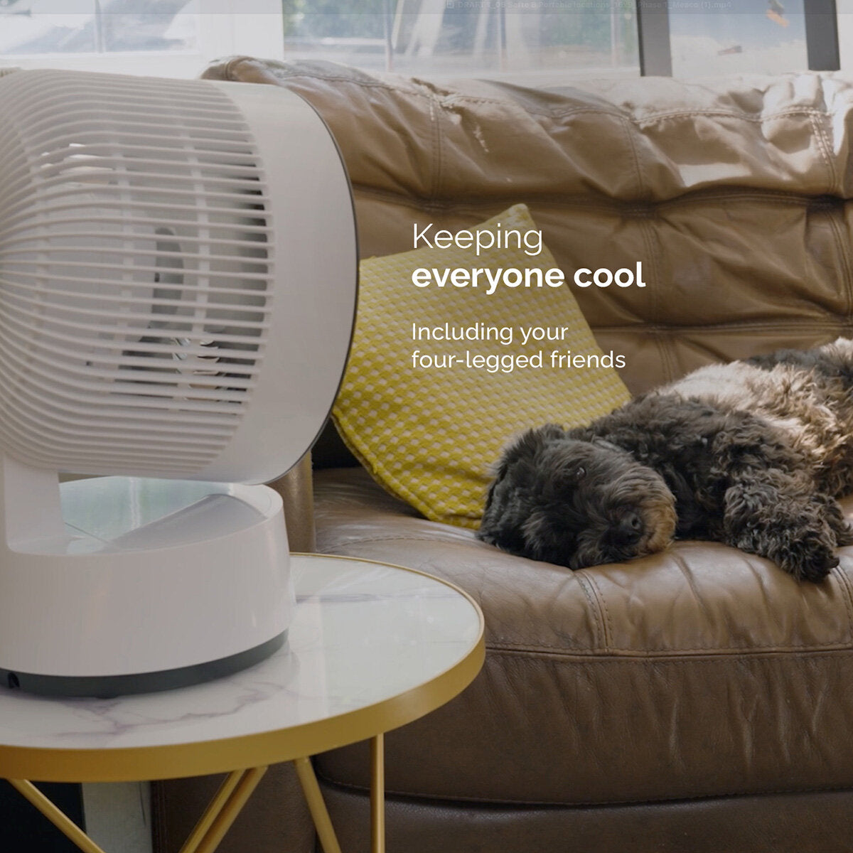 Meaco Sefte 8" Rechargeable Desktop Air Circulator Fan Cordless 12 Speed White